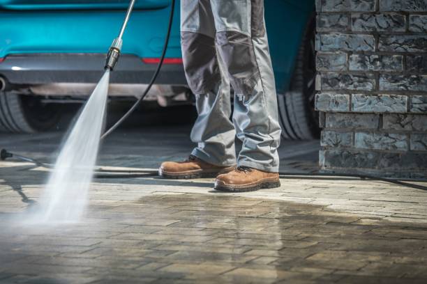 Best Dumpster Area Cleaning  in Clifton Forge, VA