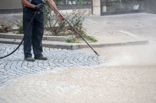Best Driveway Pressure Washing  in Clifton Forge, VA